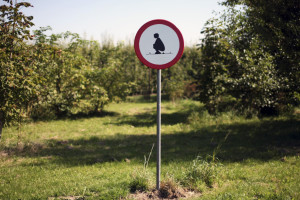 DE GROTE BOODSCHAP