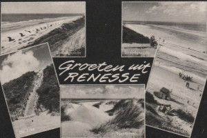ZOMERHONGER